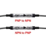 CNP2PN-and-CPN2NP-foto.jpg